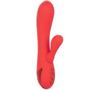 CALEXOTICS – PALISADES PASSION RED