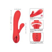 CALEXOTICS – PALISADES PASSION RED