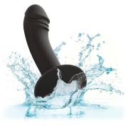 CALEXOTICS – CURVED ANAL STUD