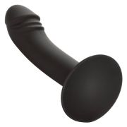 CALEXOTICS – CURVED ANAL STUD