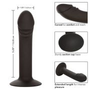 CALEXOTICS – CURVED ANAL STUD