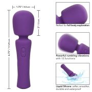 CALEXOTICS – STELLA MASSAGER VIOLETA