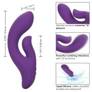 CALEXOTICS – STELLA DUAL PLEASER VIOLETA