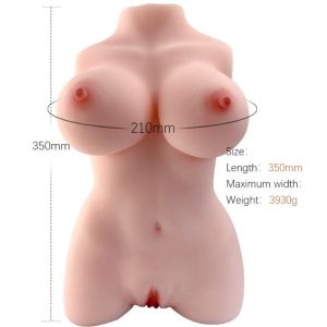 ARMONY – TORSO FEMENINO REALISTICO MODELO 3