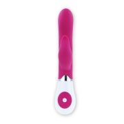 PRETTY LOVE – FLIRTATION VIBRADOR CON ESTIMULADOR FELIX