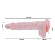 BAILE – SUPER ROTA DONG DILDO REALISTICO 20.5 CM