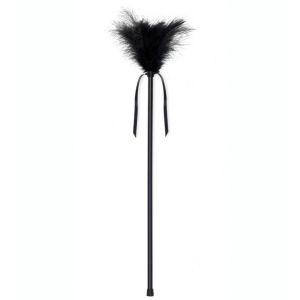 SECRETPLAY – PLUMERO PLUMAS NEGRO 40 CM