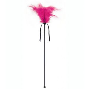 SECRETPLAY – PLUMERO PLUMAS ROSA 40 CM