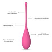 LESLIE – KEGEL FIT ENTREGADOR SUELO PELVICO 6 PESOS