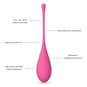 LESLIE – KEGEL FIT ENTREGADOR SUELO PELVICO 6 PESOS