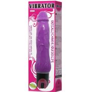 BAILE – VIBRATOR DAAPLY PLEASURE MULTIVELOCIDAD MORADO