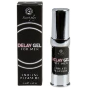 SECRETPLAY – GEL RETARDANTE MASCULINO ENDLESS PLEASURE 15 ML