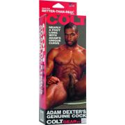 CALEXOTICS – COLT PENE REALISTICO ADAM DEXTER