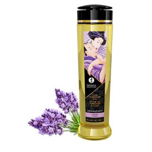 SHUNGA – ACEITE DE MASAJE EROTICO SENSACION 240 ML