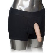 CALEXOTICS – PACKER GEAR BOXER ARNES UNIVERSAL M/L