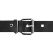 HARNESS ATTRACTION – RNES TAYLOR DELUXE 18 CM -O- 4.5 CM