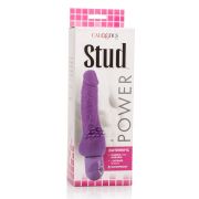 CALEXOTICS – POWER STUD CLITERRIFIC VIBRADOR LILA