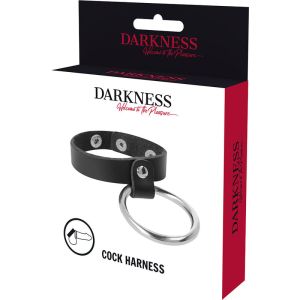 DARKNESS – ANILLO DE METAL PARA EL PENE Y TESTÍCULOS